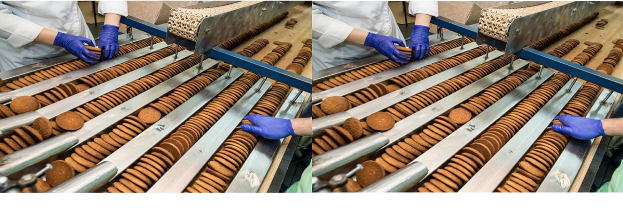 Certificate in Food Processing and Quality Management (CFPQM)	