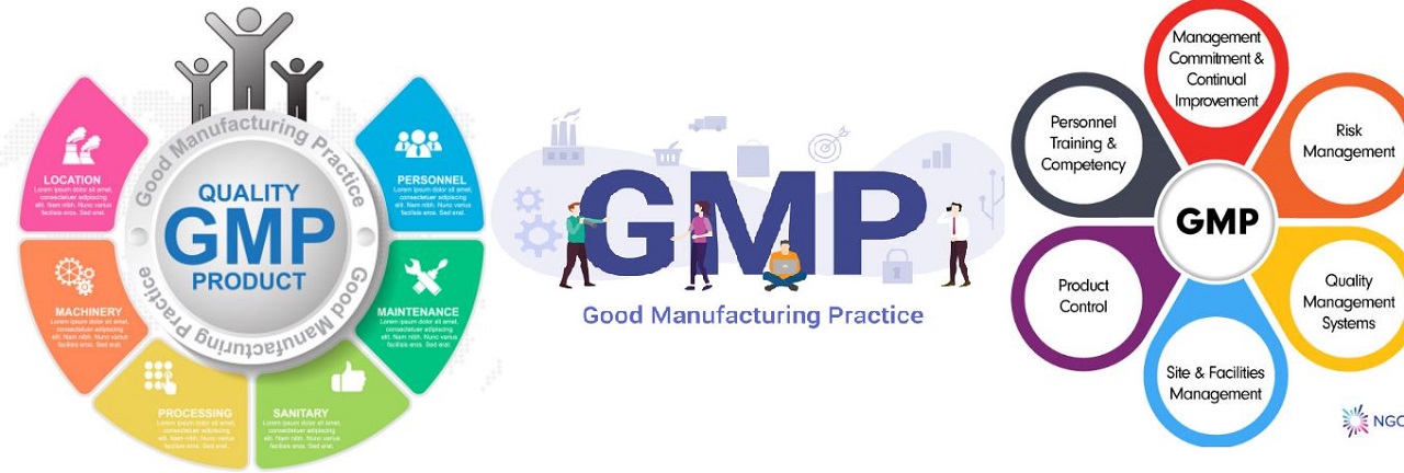 Good Manufacturing Practices	