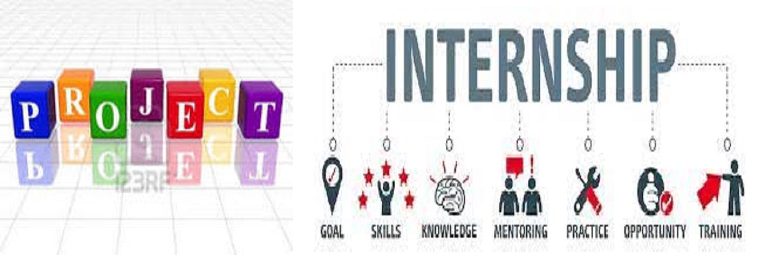 Internship/project work/dissertation training **	 Course Code 36